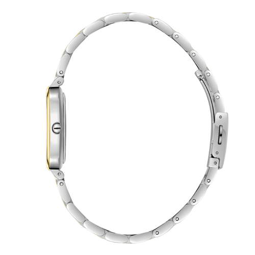 Slazenger SL.09.2549.3.07 Kadın Kol Saati