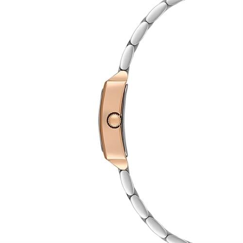 U.S. Polo Assn. USPA2107-03 Kadın Kol Saati