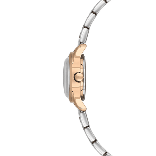 U.S. Polo Assn. USPA2127-04 Kadın Kol Saati