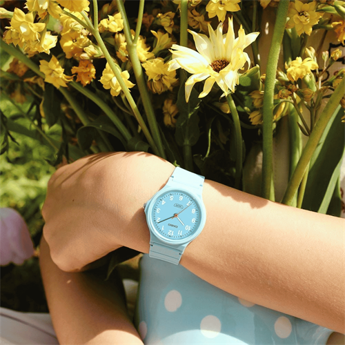 Casio LQ-24B-2BDF Kol Saati