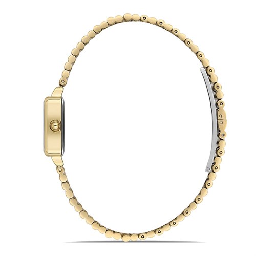Momentus CW312G-02SG Kadın Kol Saati