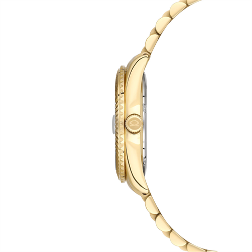 Nacar NC33-398351-DCMS Metal Kadın Kol Saati