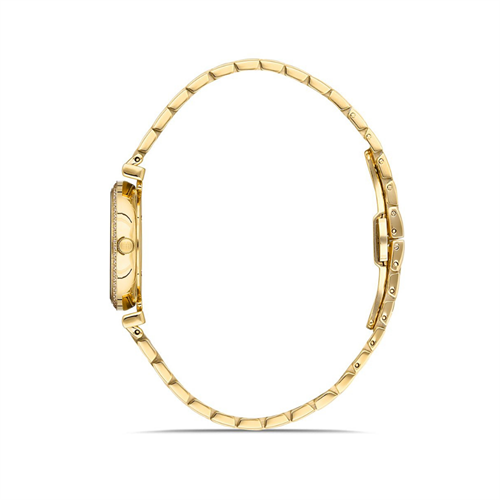 Hislon QL119G-10SG Kadın Kol Saati