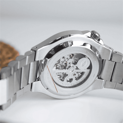 REWARD RWD145502 Otomatik Erkek Kol Saati