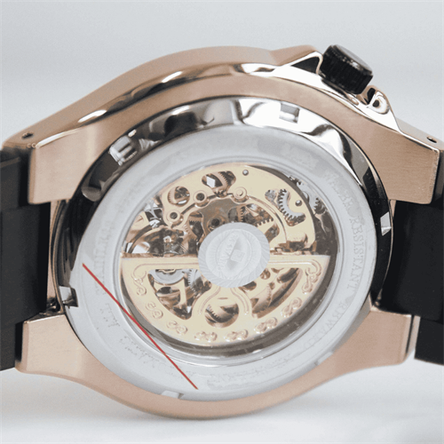 REWARD RWD145507 Otomatik Erkek Kol Saati