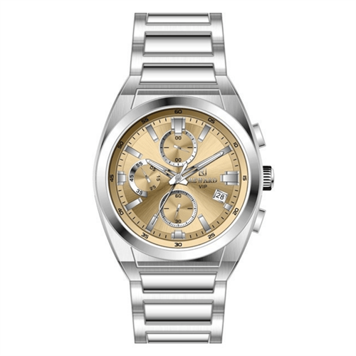 REWARD RWD146155 Çelik Kasa Erkek Kol Saati