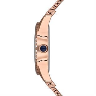 U.S. Polo Assn. USPA2039-02 Bayan Kol Saati