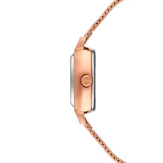 U.S. Polo Assn. USPA2066-03 Kadın Kol Saati