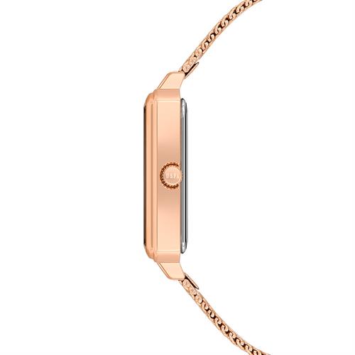 U.S. Polo Assn. USPA2083-04 Kadın Kol Saati