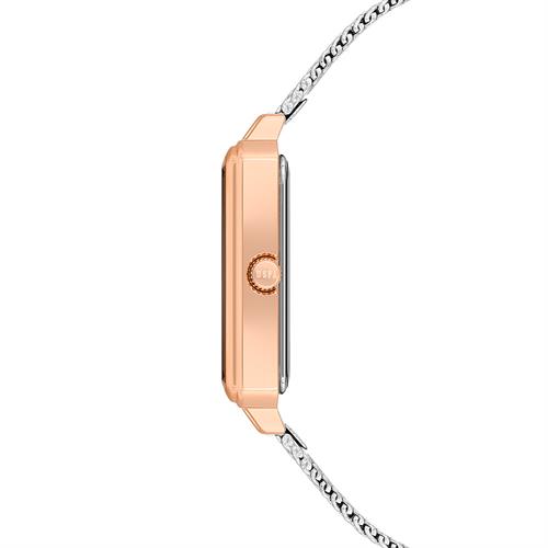 U.S. Polo Assn. USPA2083-06 Kadın Kol Saati