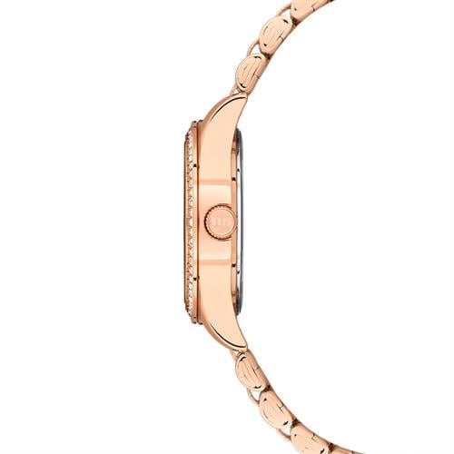 U.S. Polo Assn. USPA2085-08 Kadın Kol Saati