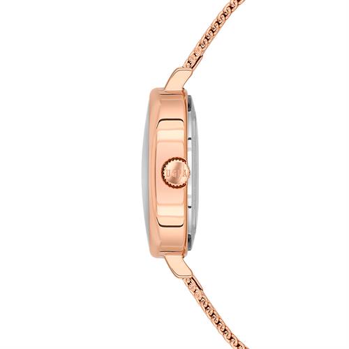 U.S. Polo Assn. USPA2087-03 Kadın Kol Saati