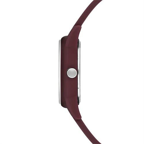 U.S. Polo Assn. USPA2089-05 Kadın Kol Saati