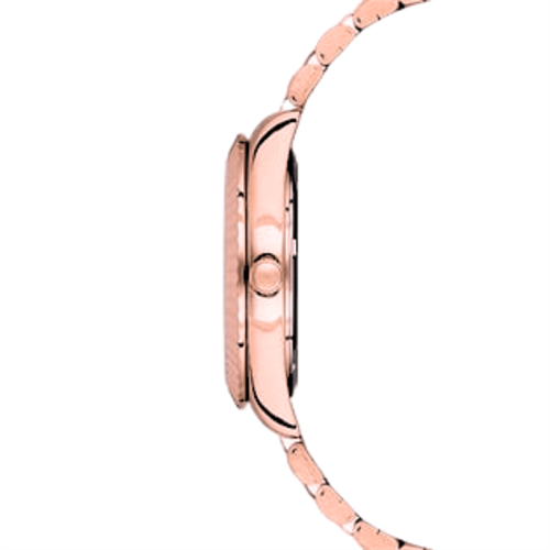 U.S. Polo Assn. USPA2093-03 Kadın Kol Saati