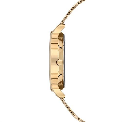 U.S. Polo Assn. USPA2096-02 Kadın Kol Saati