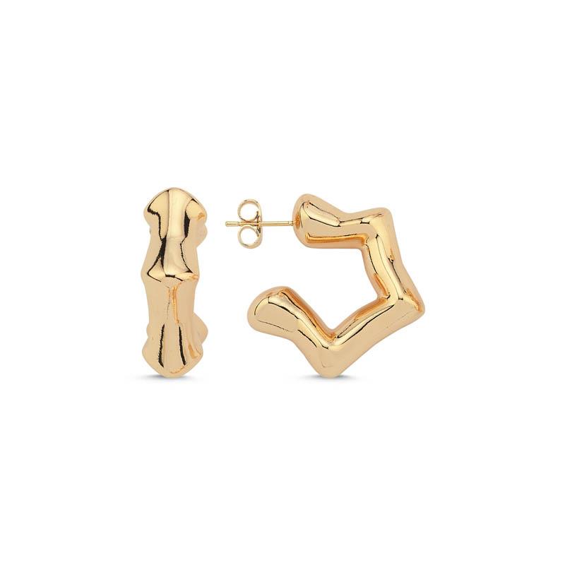 Stern Gold Küpe