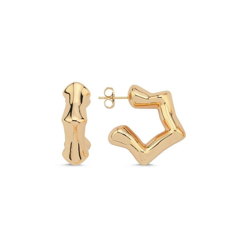 Stern Gold Küpe