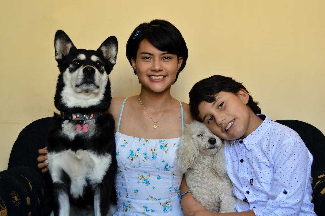 4 Ekim Dünya Hayvanları Koruma Günü 🐶