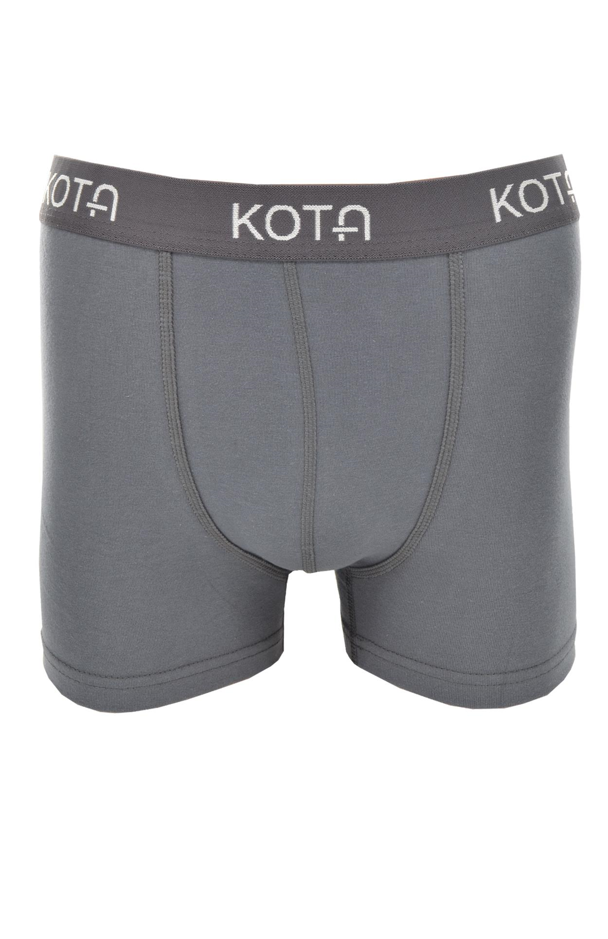 Erkek Pamuk Likralı Spor Boxer - Kota 5661