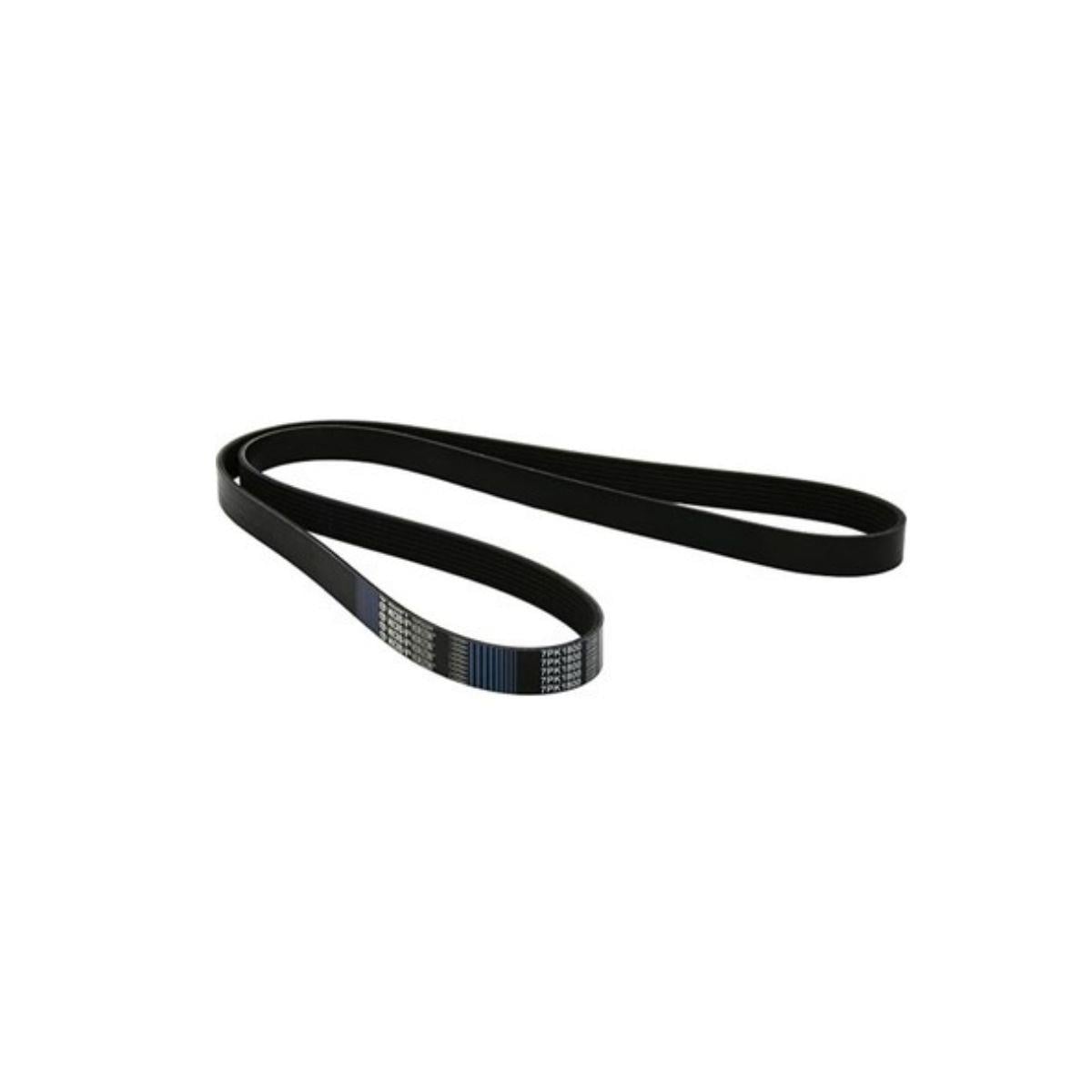 Freelander 2 V Kayışı 2.2 Dizel LR000996