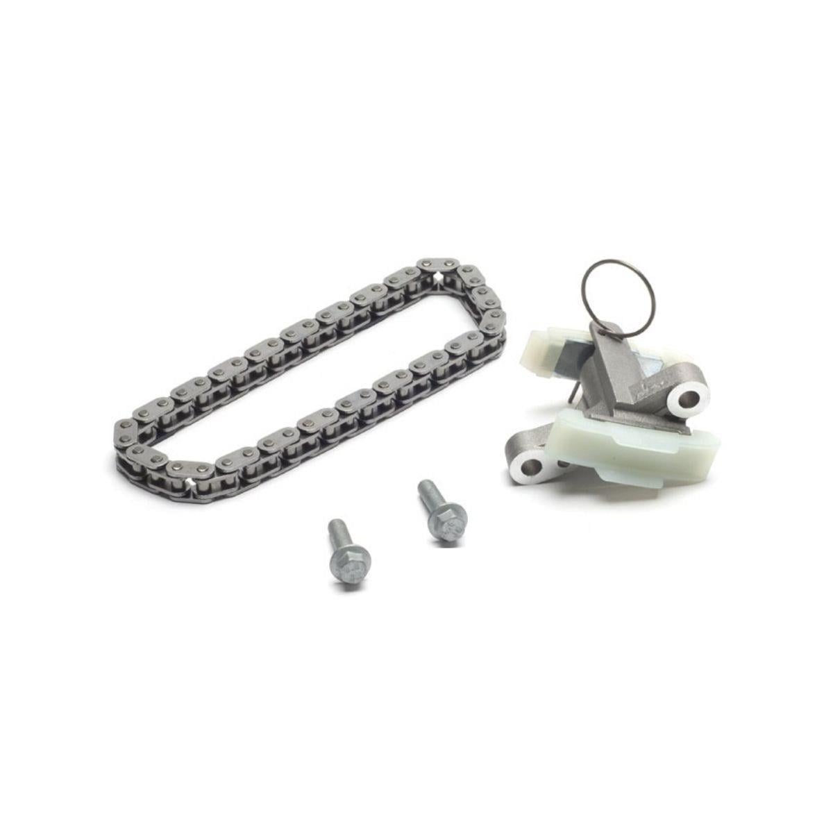 Range Rover Sport Discovery 3-4 Eksantirik Zinciri ve Gergisi 1316113