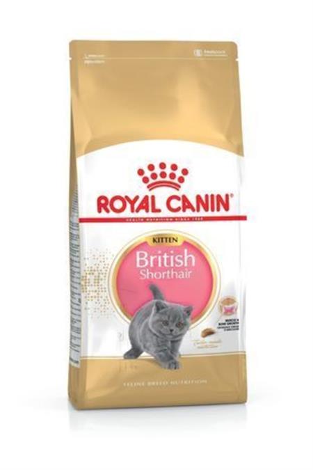 British Shorthair Kitten Kedi Kuru Maması 2 kg