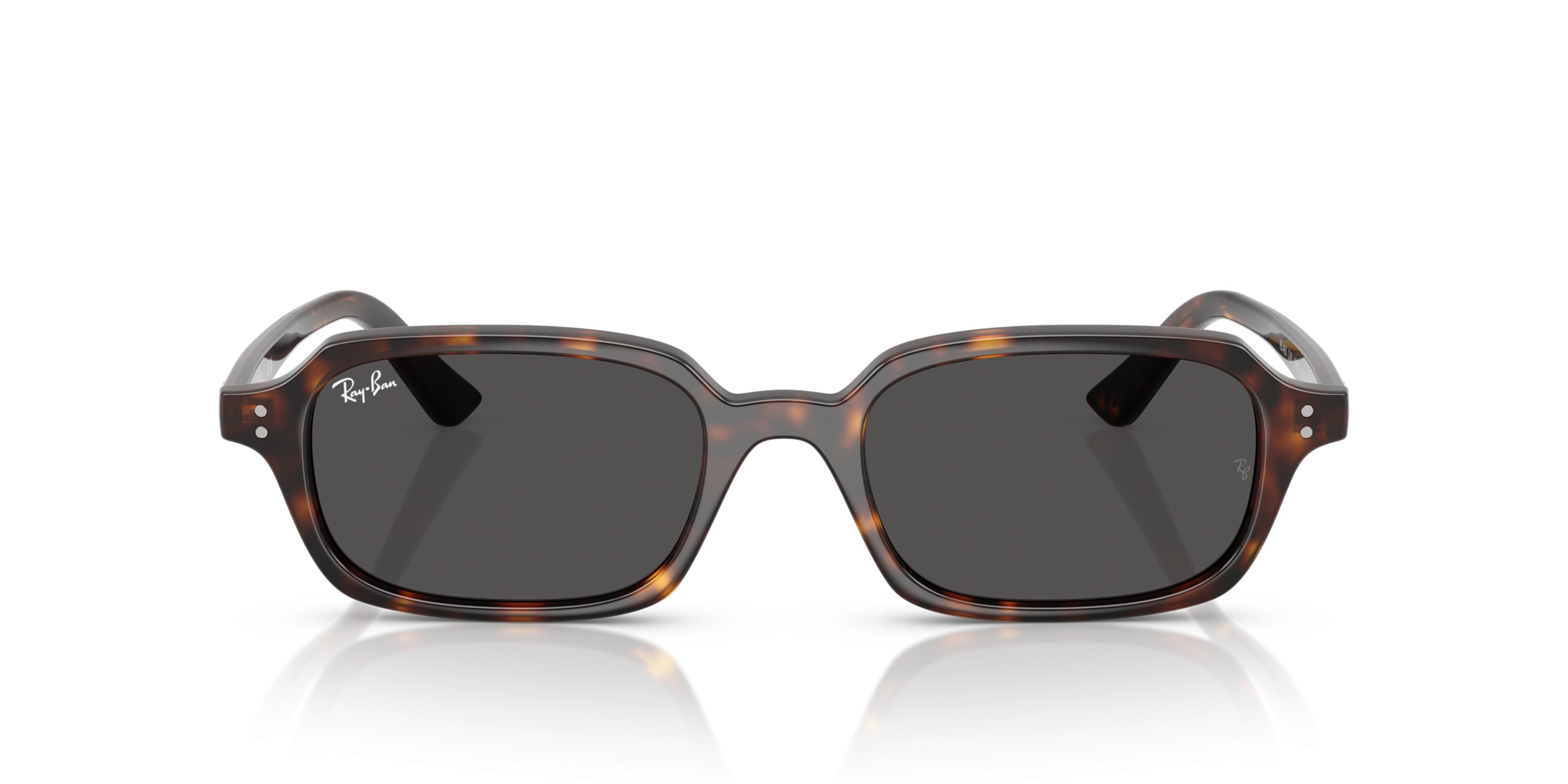 RAY-BAN 4455 135987 49