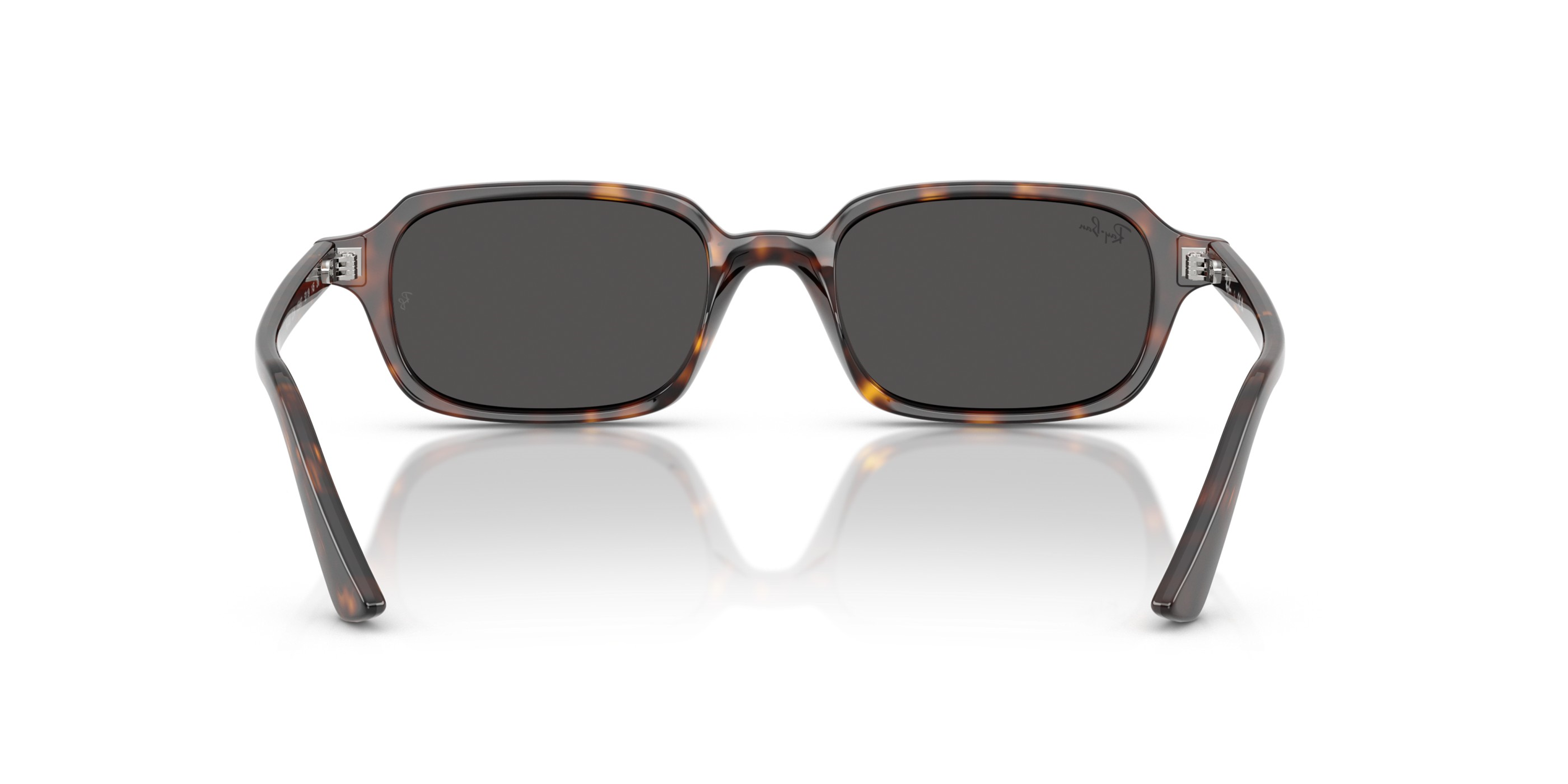 RAY-BAN 4455 135987 49