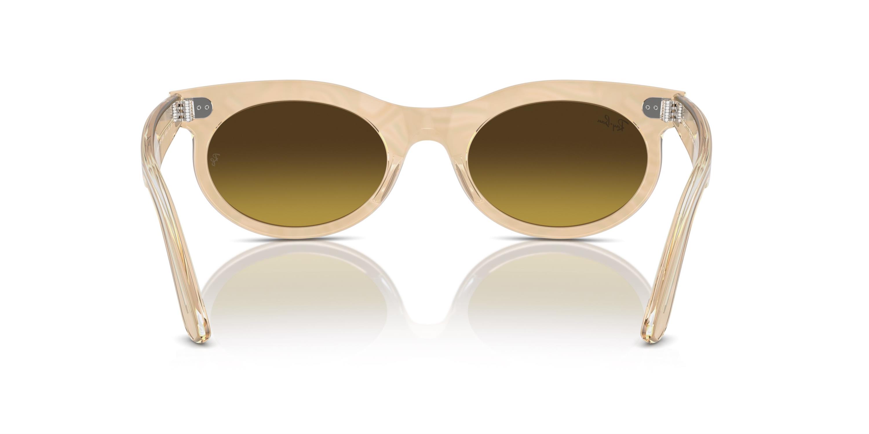 RAY-BAN 0RB2242 138685 53