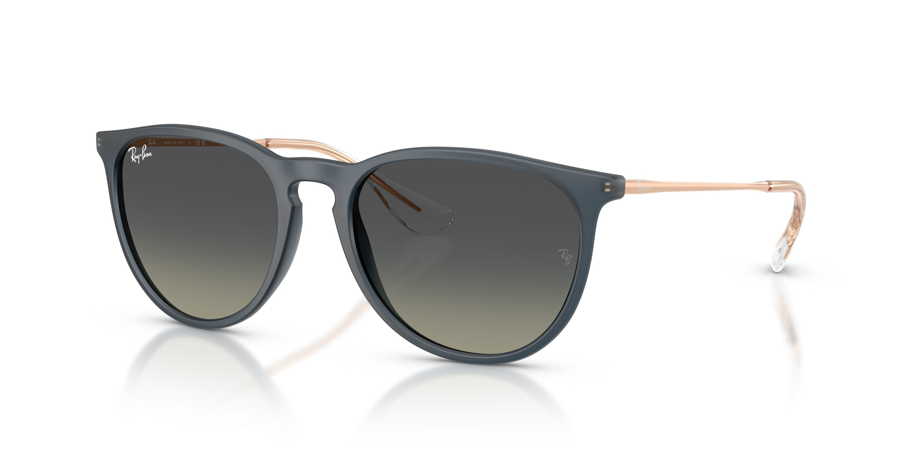 RAY-BAN 4171 681311 54
