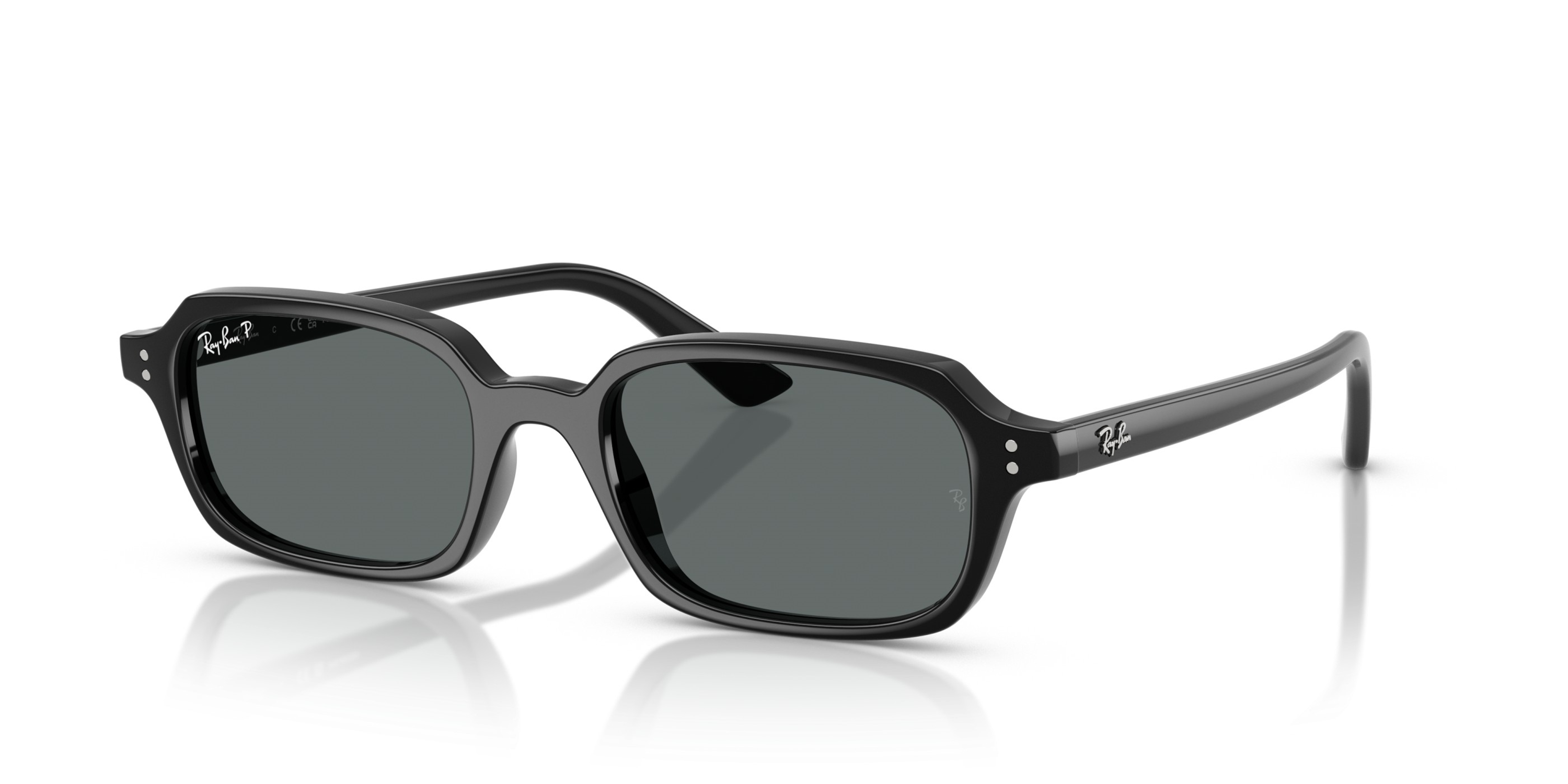 RAY-BAN 4455 667781 49