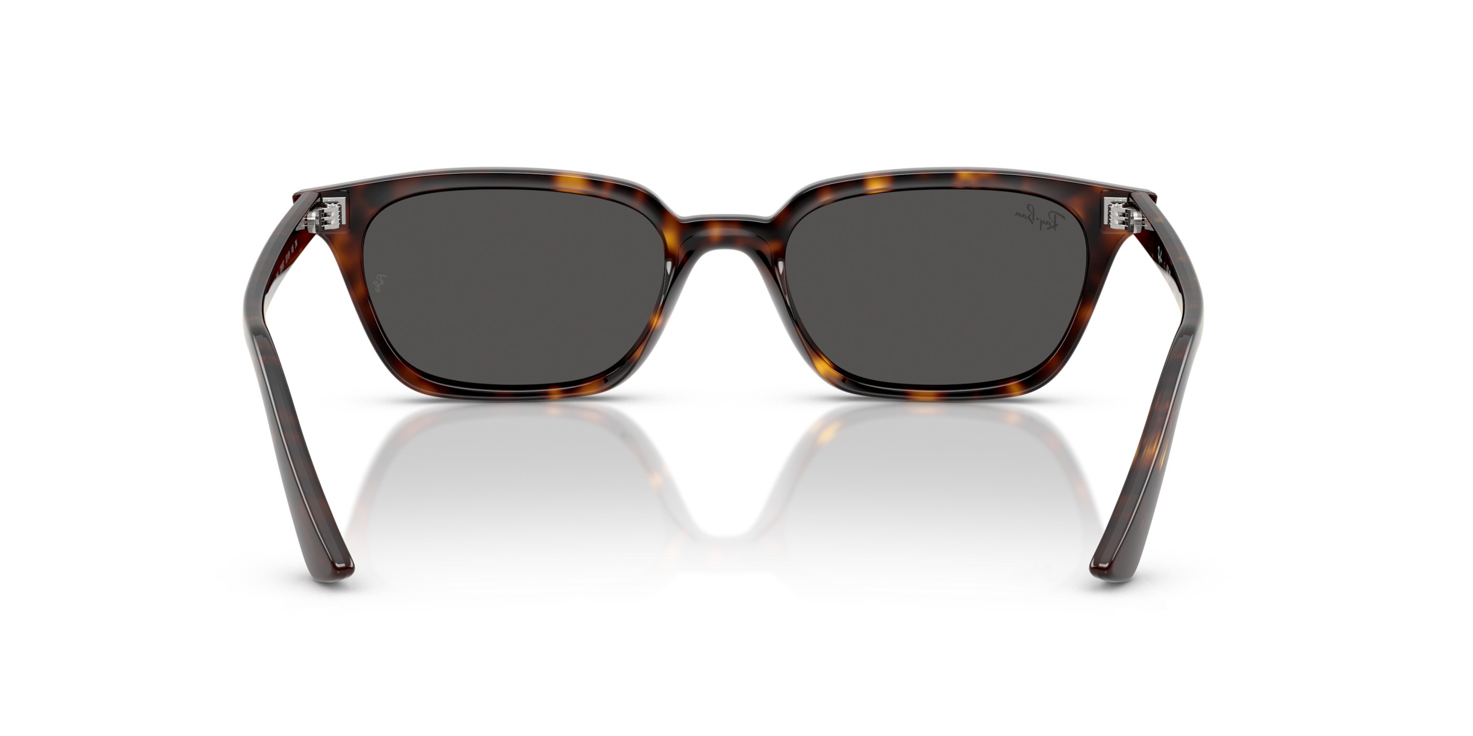 RAY-BAN 4456 135987 50