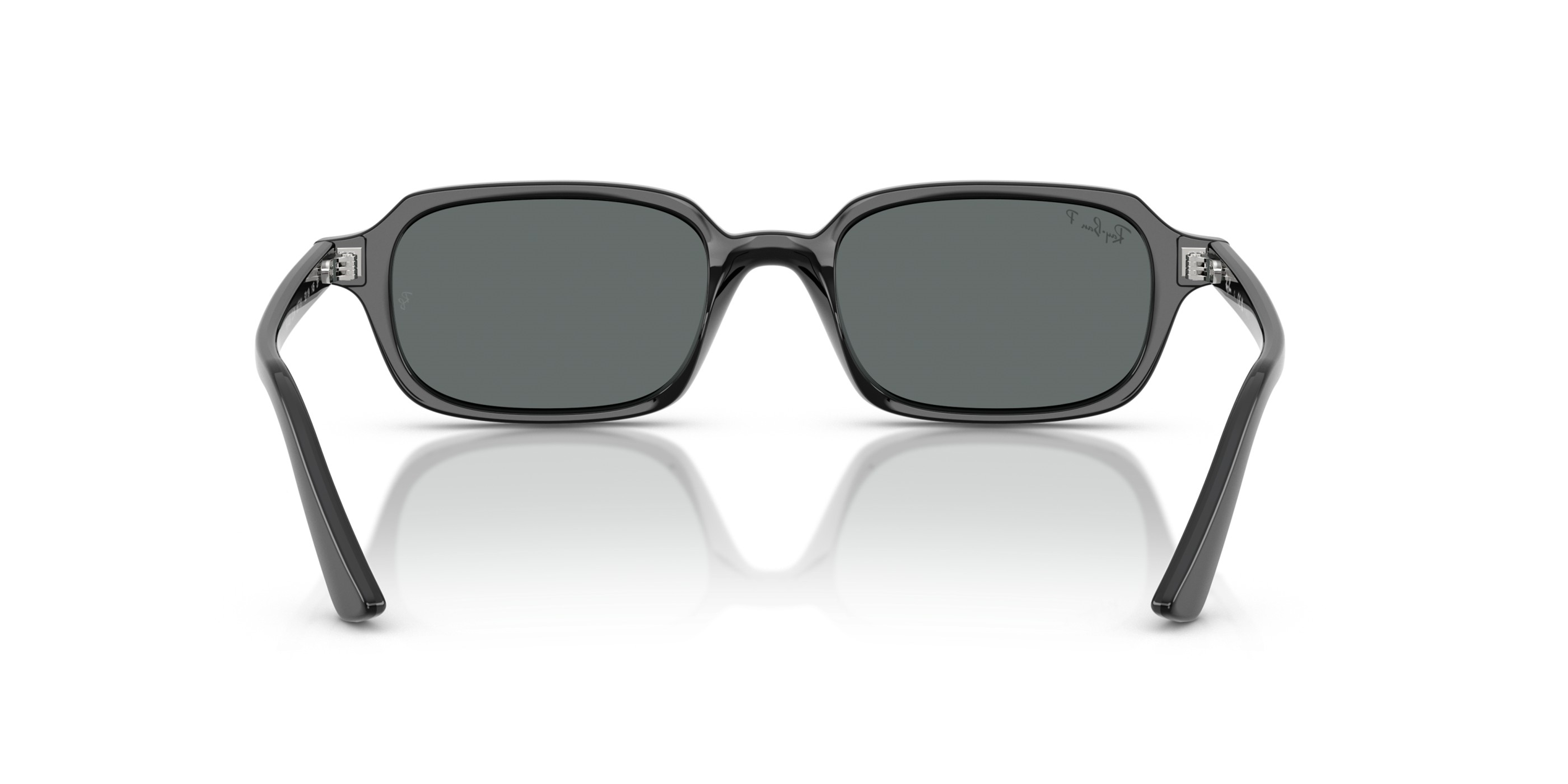 RAY-BAN 4455 667781 49