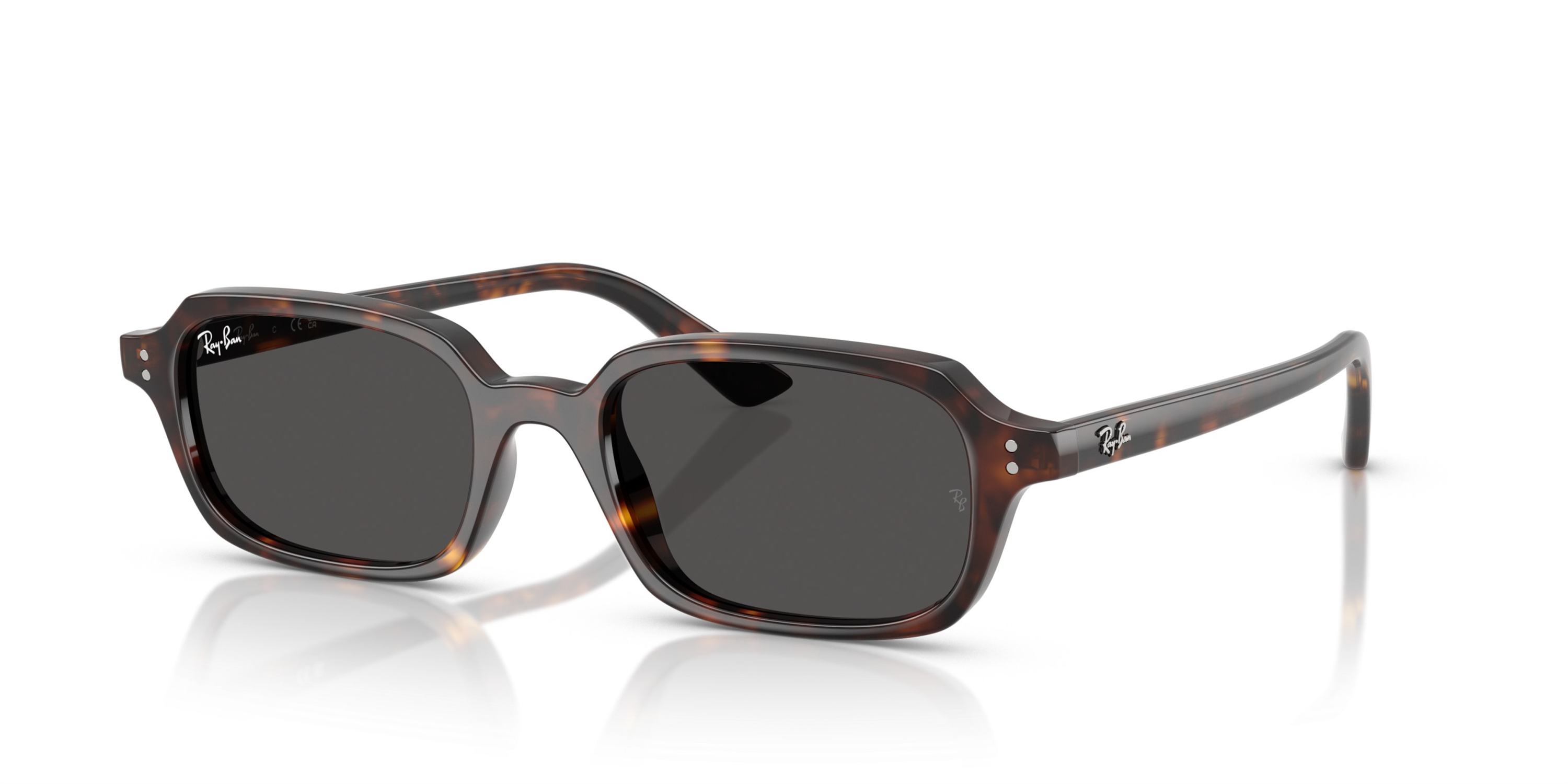 RAY-BAN 4455 135987 49
