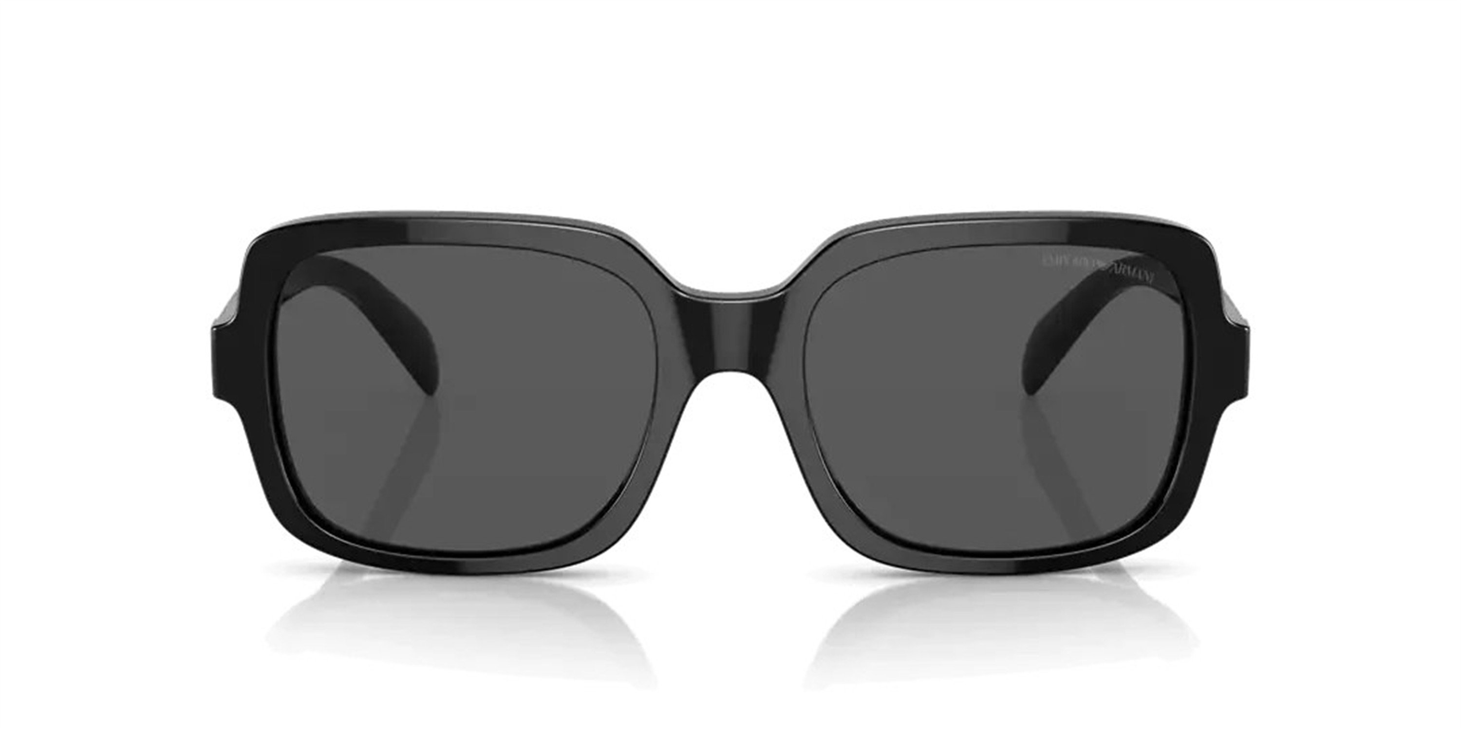 EMPORIO ARMANI 4195 501787 55