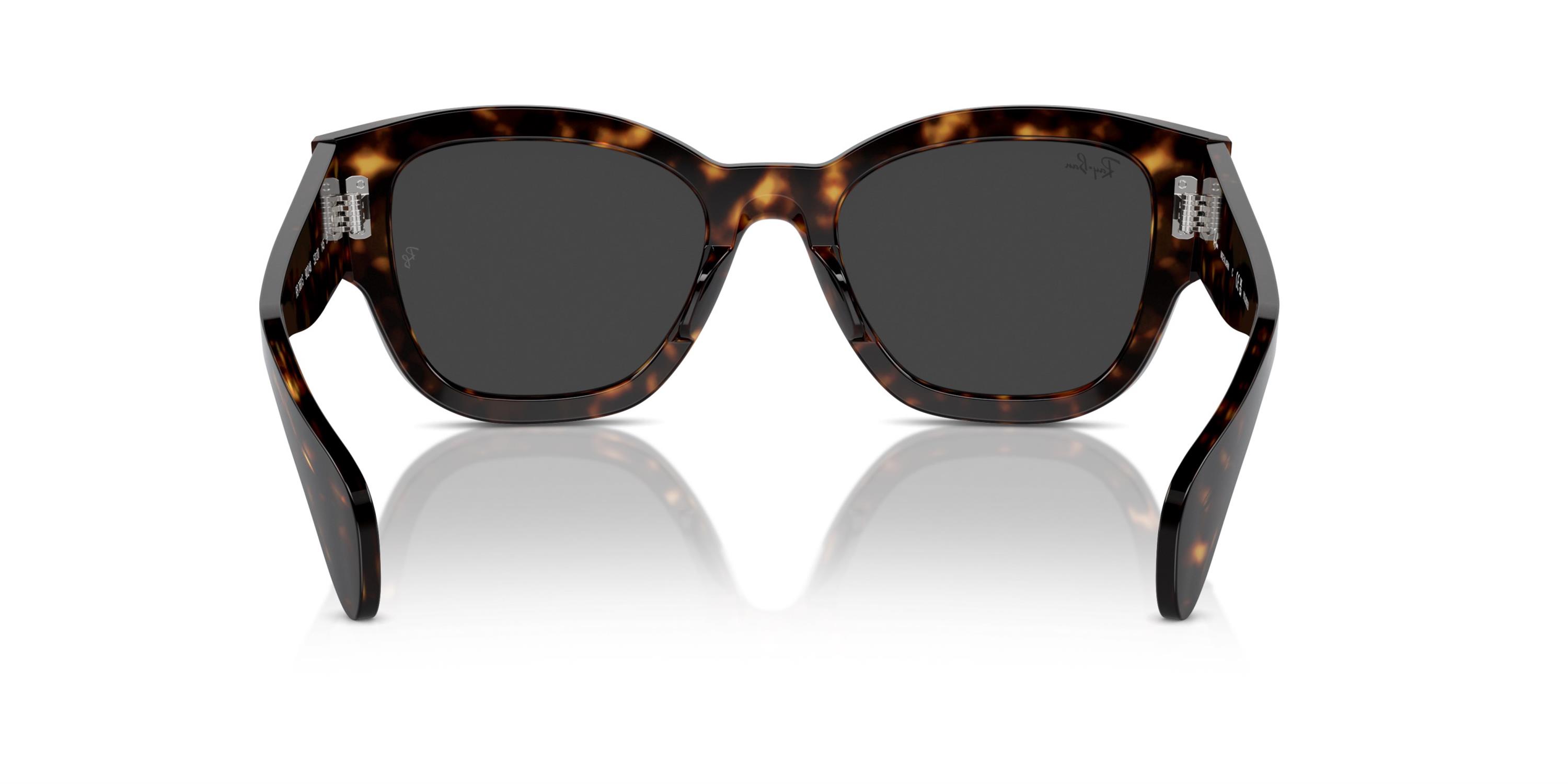 RAY-BAN 0RB7681S 902/48 52