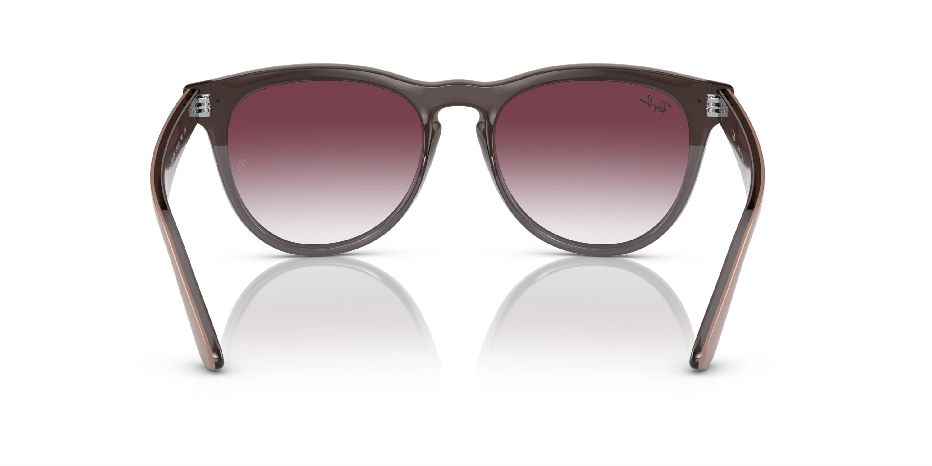 RAY-BAN 4471 66338H 54 Unisex Güneş Gözlüğü