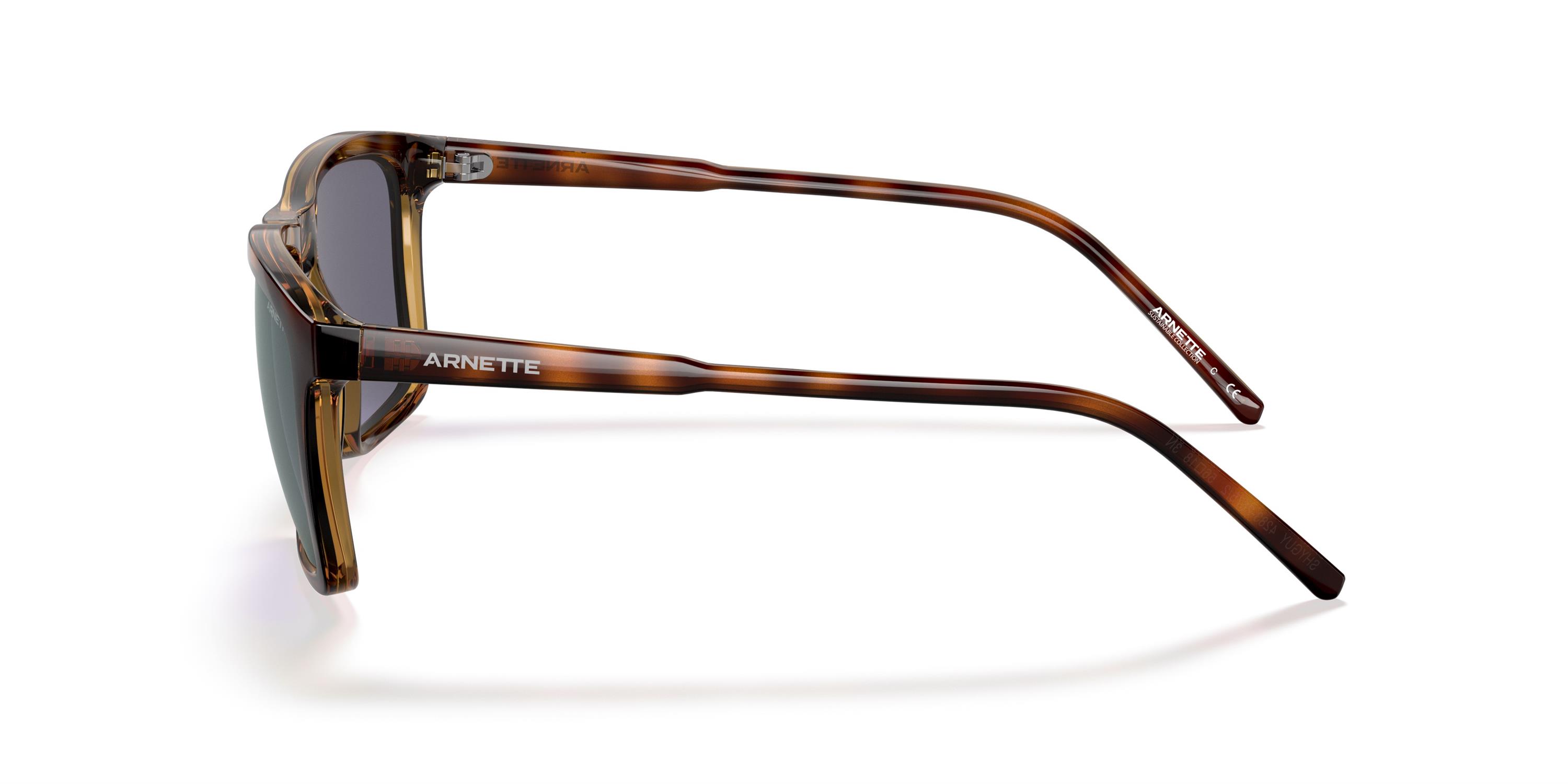 ARNETTE 4283 2675/2 56 Güneş Gözlüğü
