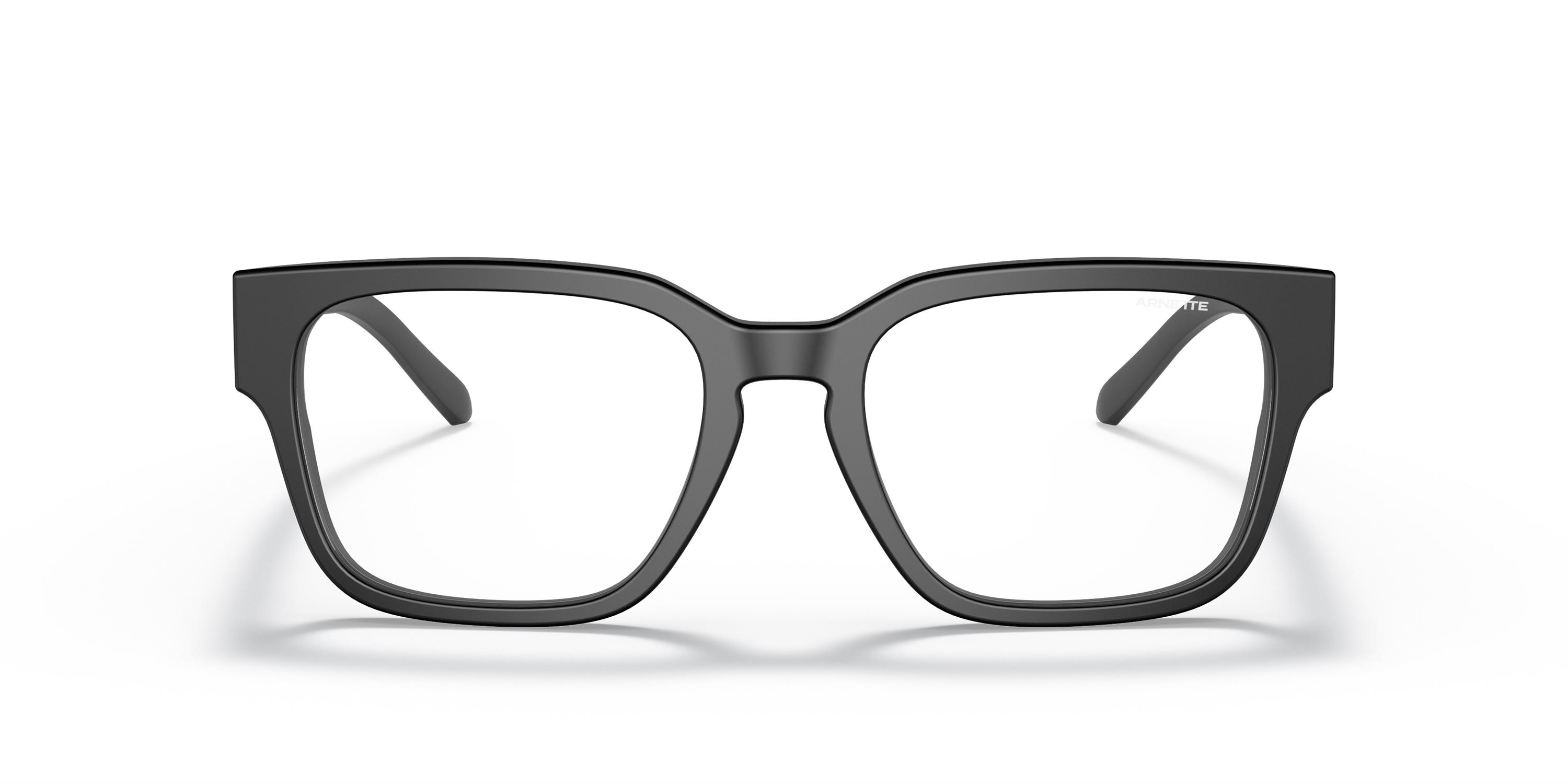 ARNETTE 4294 1219SB 54 Güneş Gözlüğü