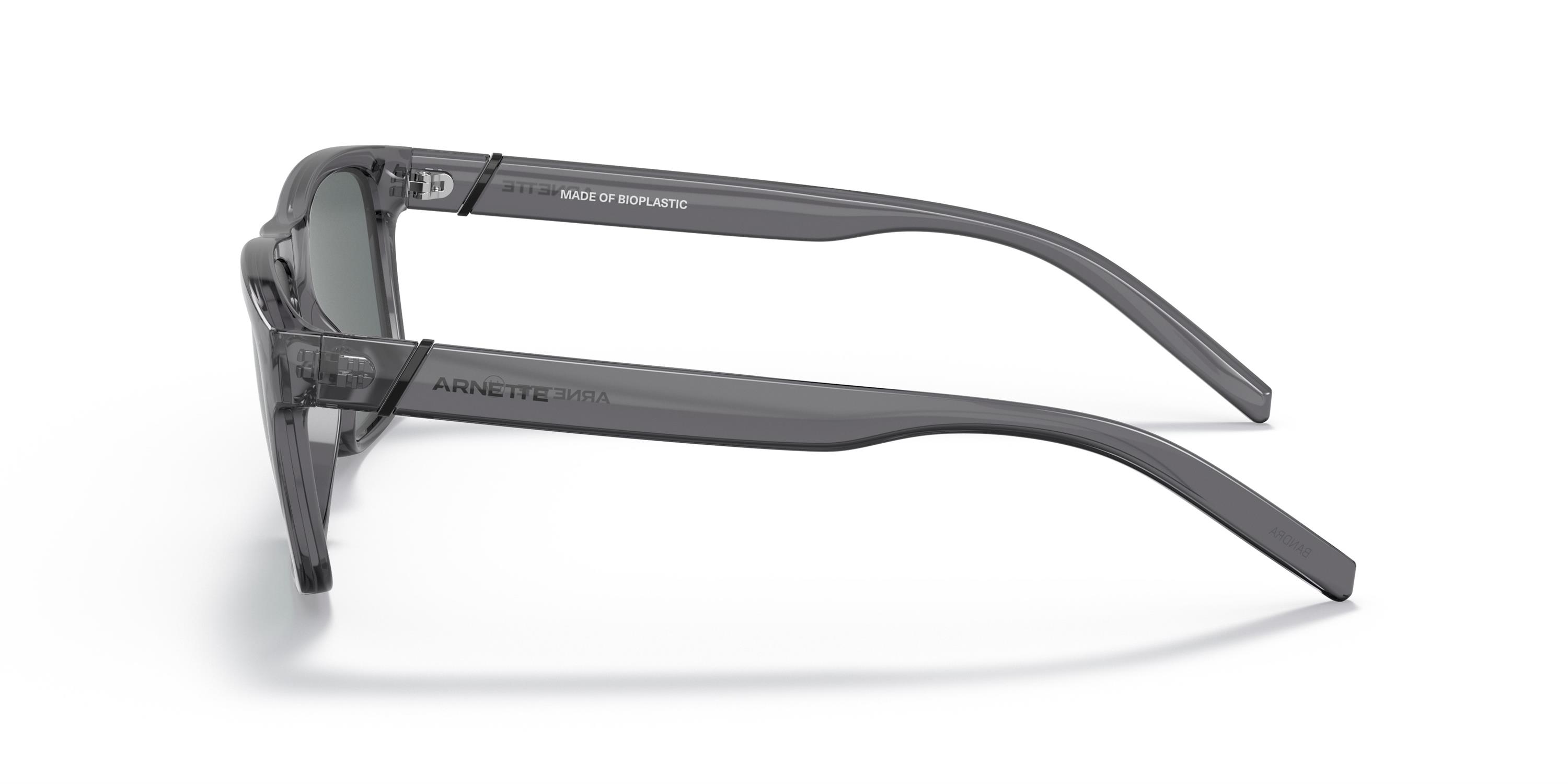 ARNETTE 4298 278681 55
