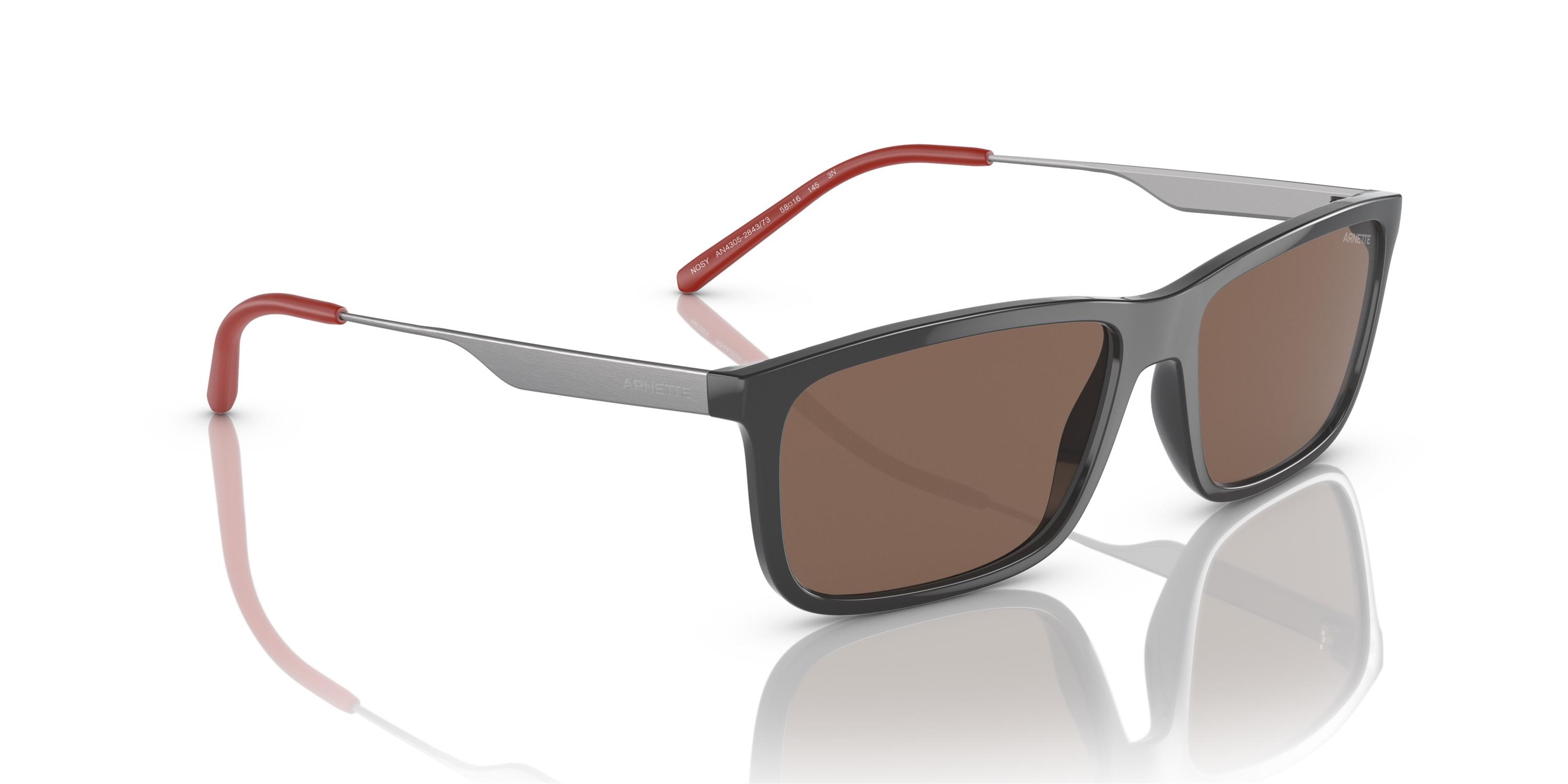ARNETTE 4305 284373 58 Güneş Gözlüğü