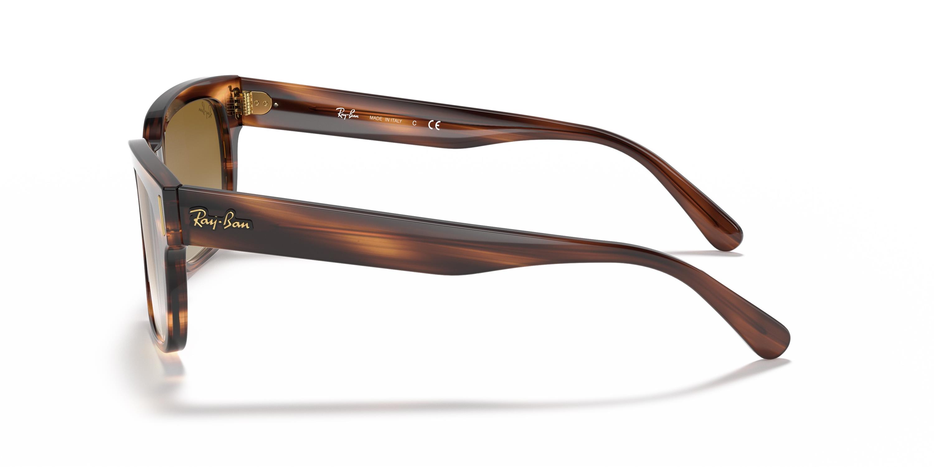 Ray-Ban 2190 954/51 55