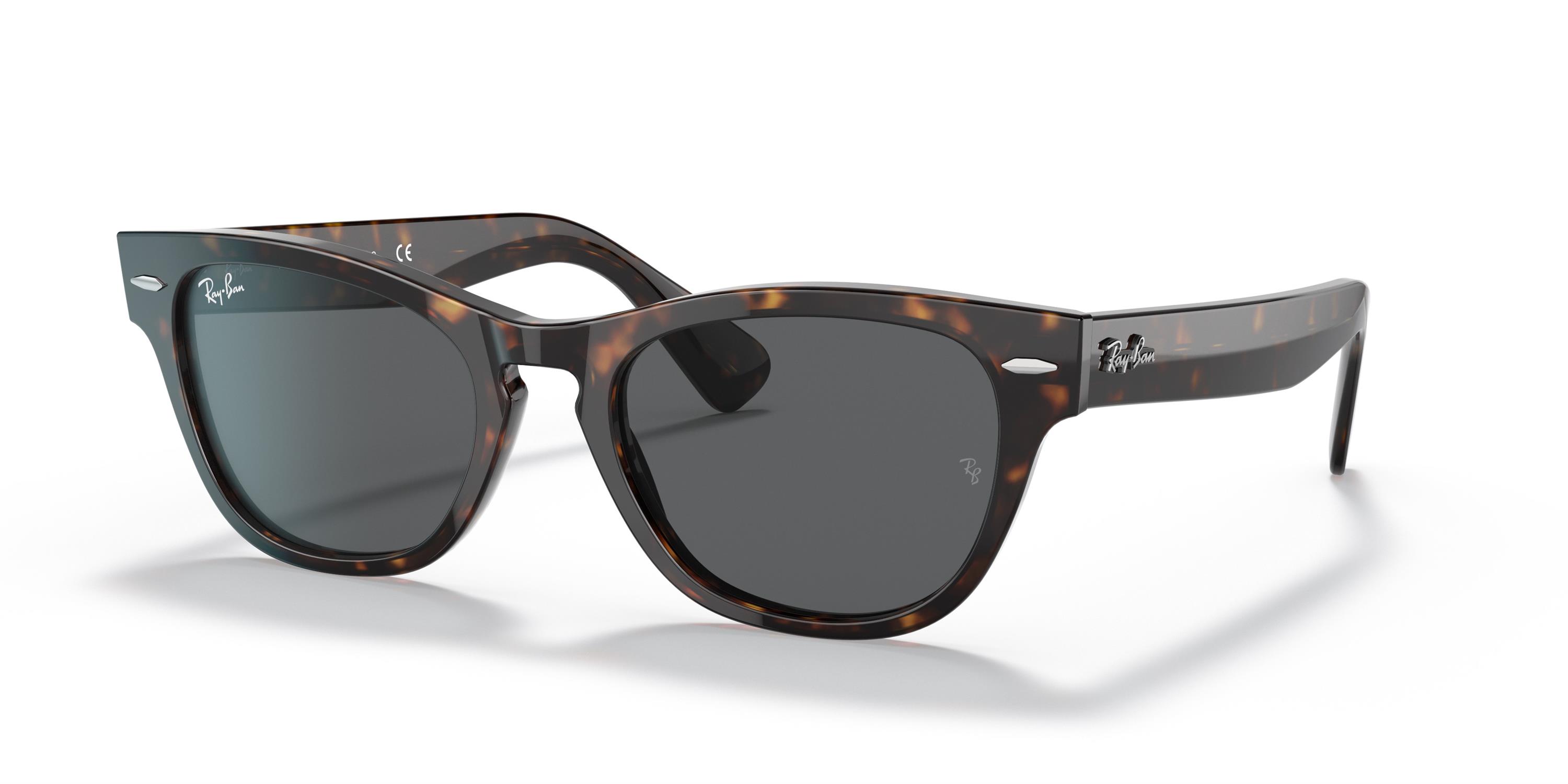 Ray-Ban  RB 2201 902/B1 54