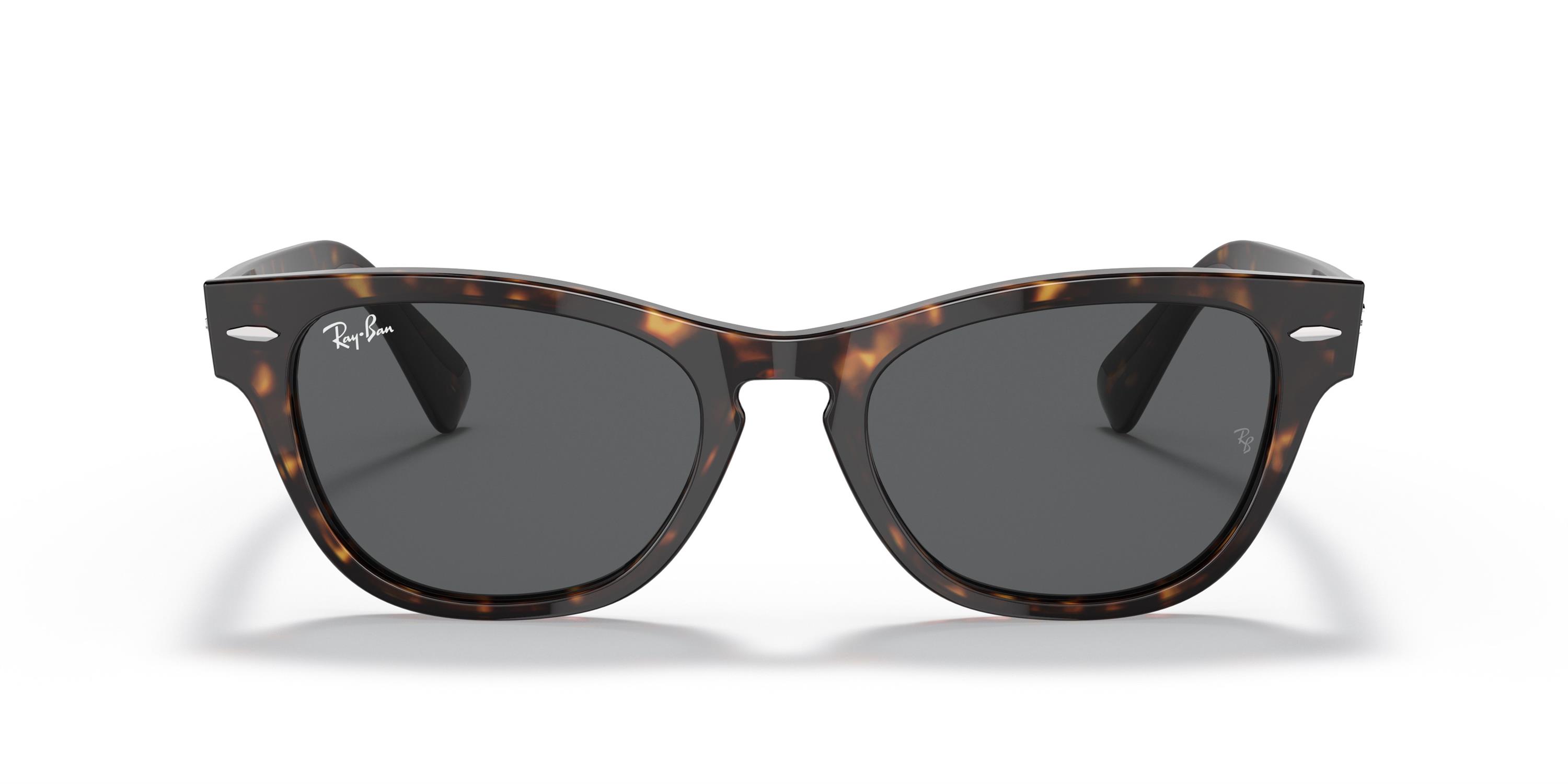 Ray-Ban  RB 2201 902/B1 54