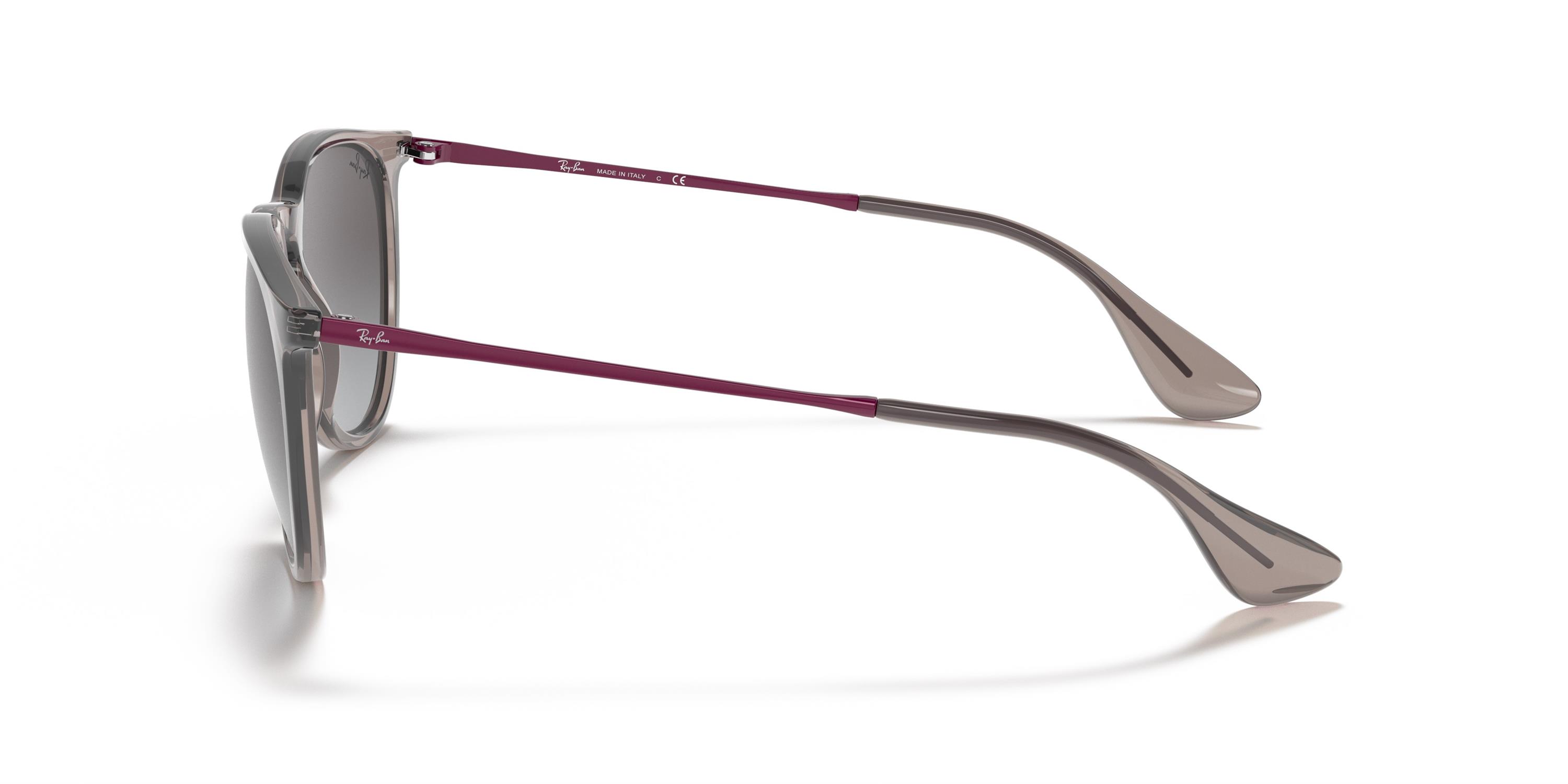Ray-Ban  RB 4171 65138G 54