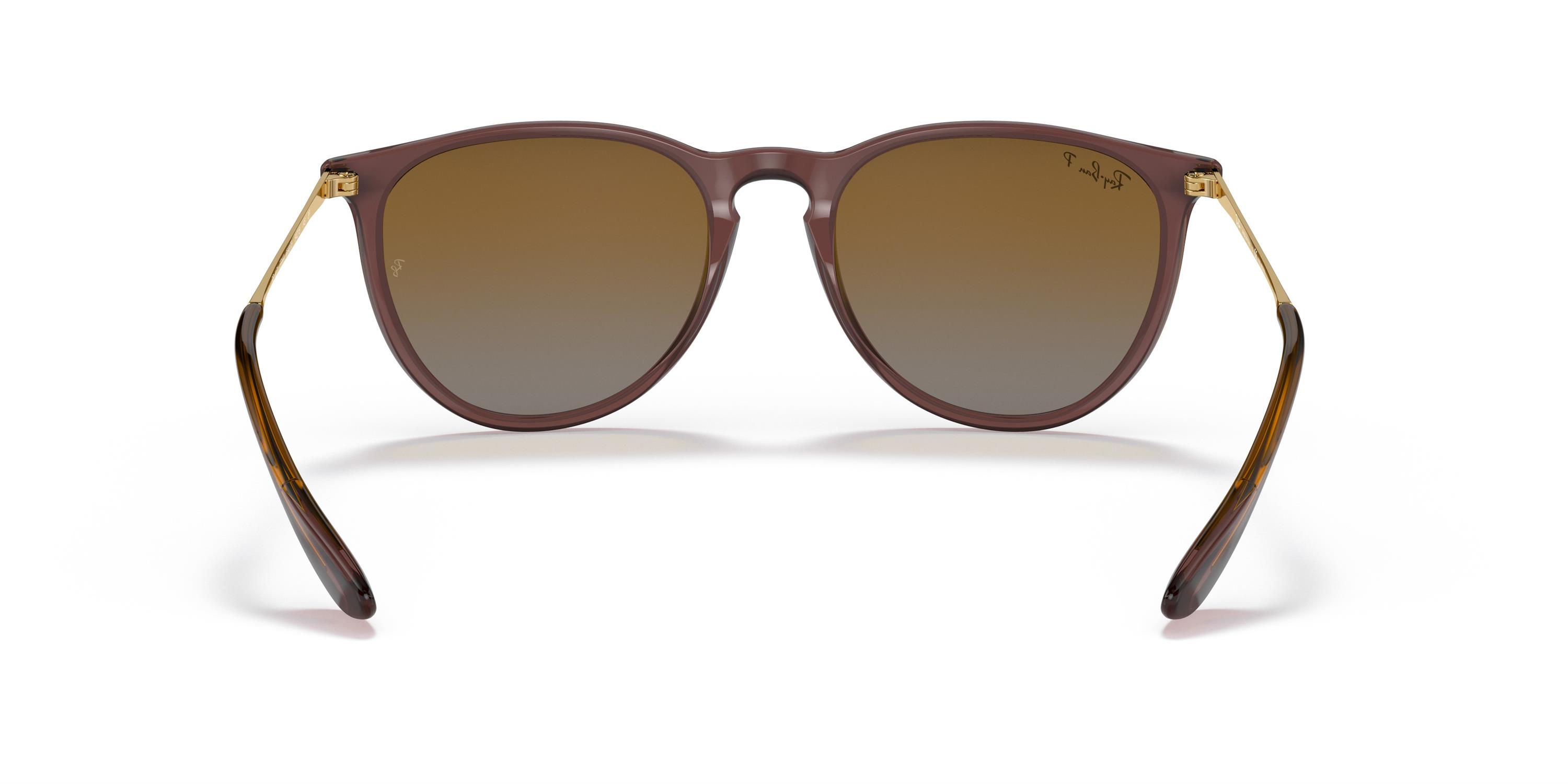 RAY-BAN 4171 6593T5 54 Erika Güneş Gözlüğü