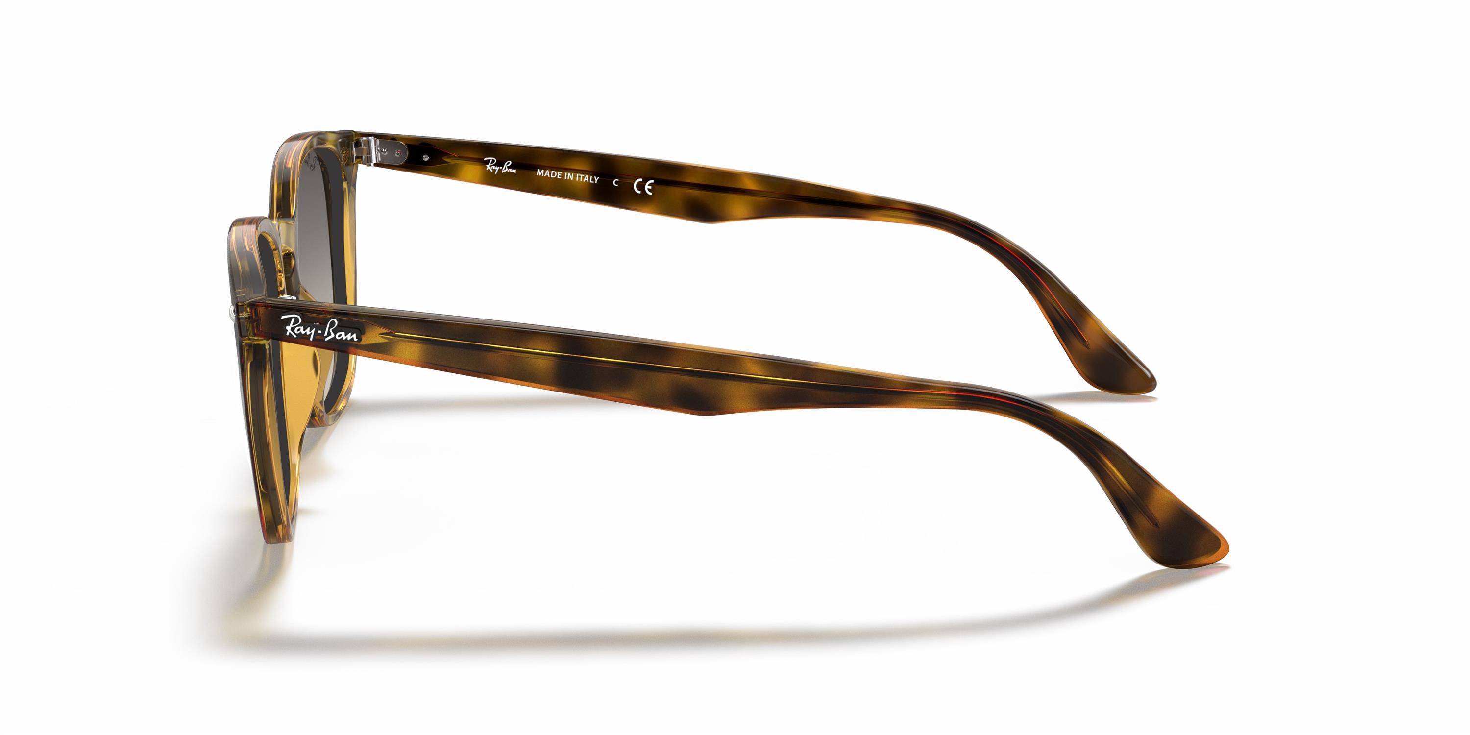 RAY-BAN 4258 710/11 50 Güneş Gözlüğü