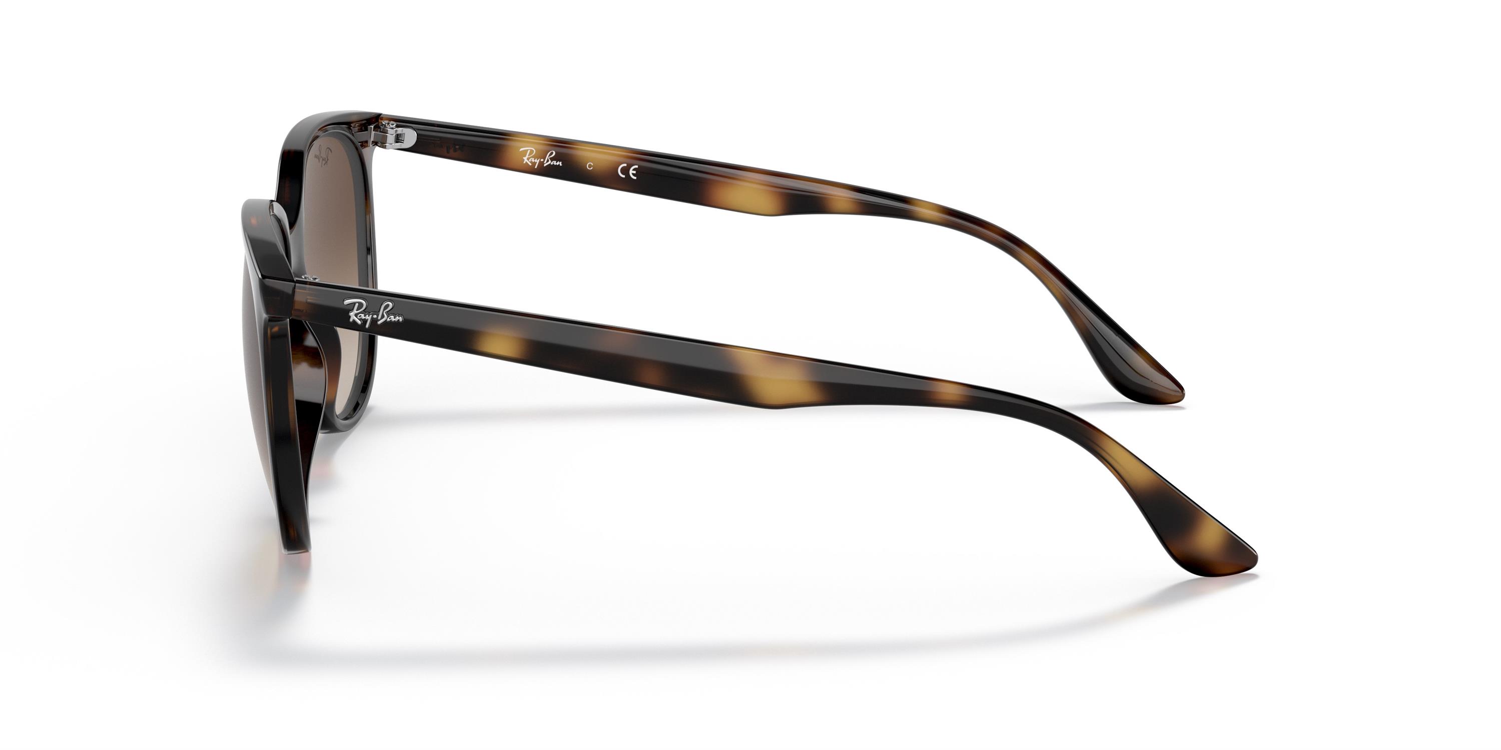 Ray-Ban 4378 710/13 54