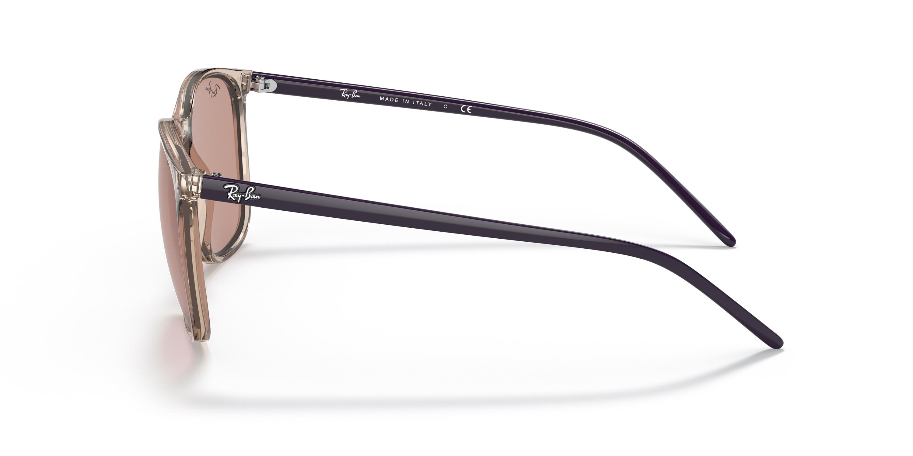 RAY-BAN 4387 6573Q4 56 Güneş Gözlüğü