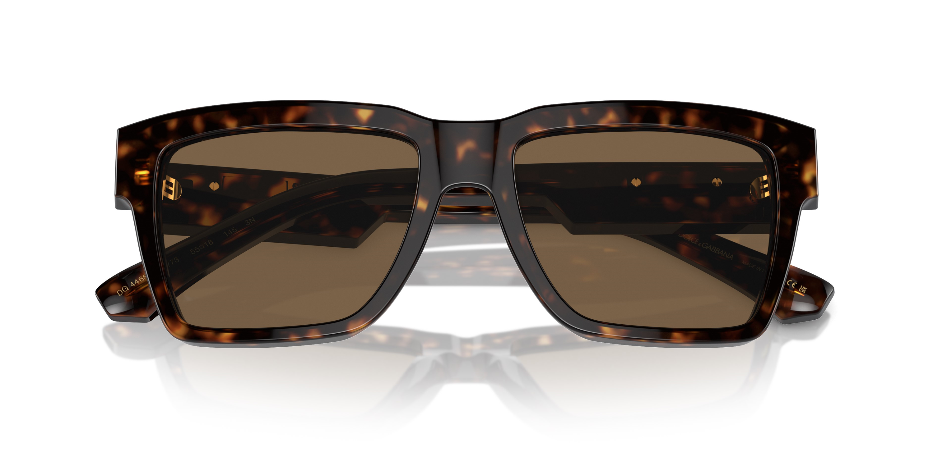 DOLCE & GABBANA 0DG4465 502/73 55
